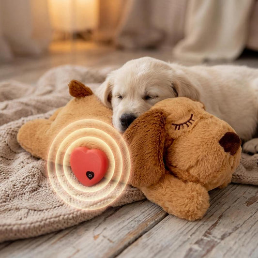 PawDream™ Heartbeat Companion